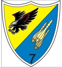 Emblema Batalion 7 HAWK